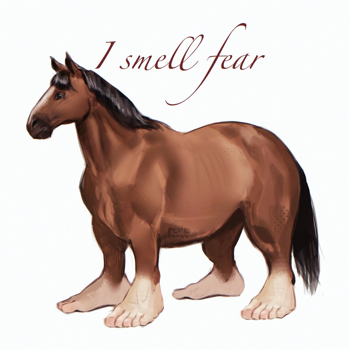 Pepe 🇻🇪🇵🇦 tweet media