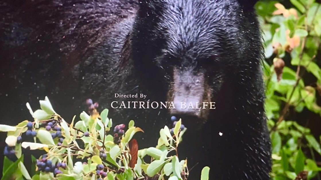 pam • ol spoilers tweet media