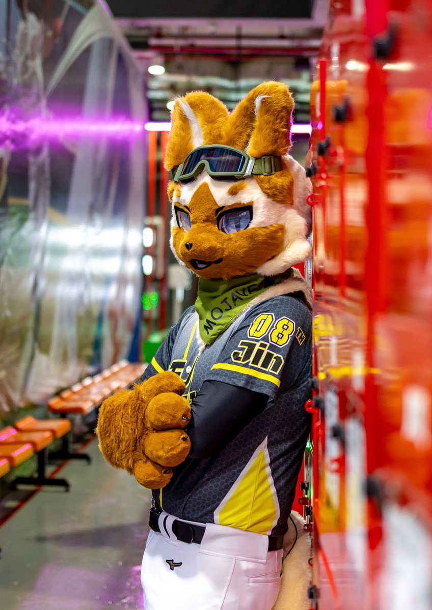 MOJAVE The Fennec 🔜 ThaiTails 🇹🇭 tweet media