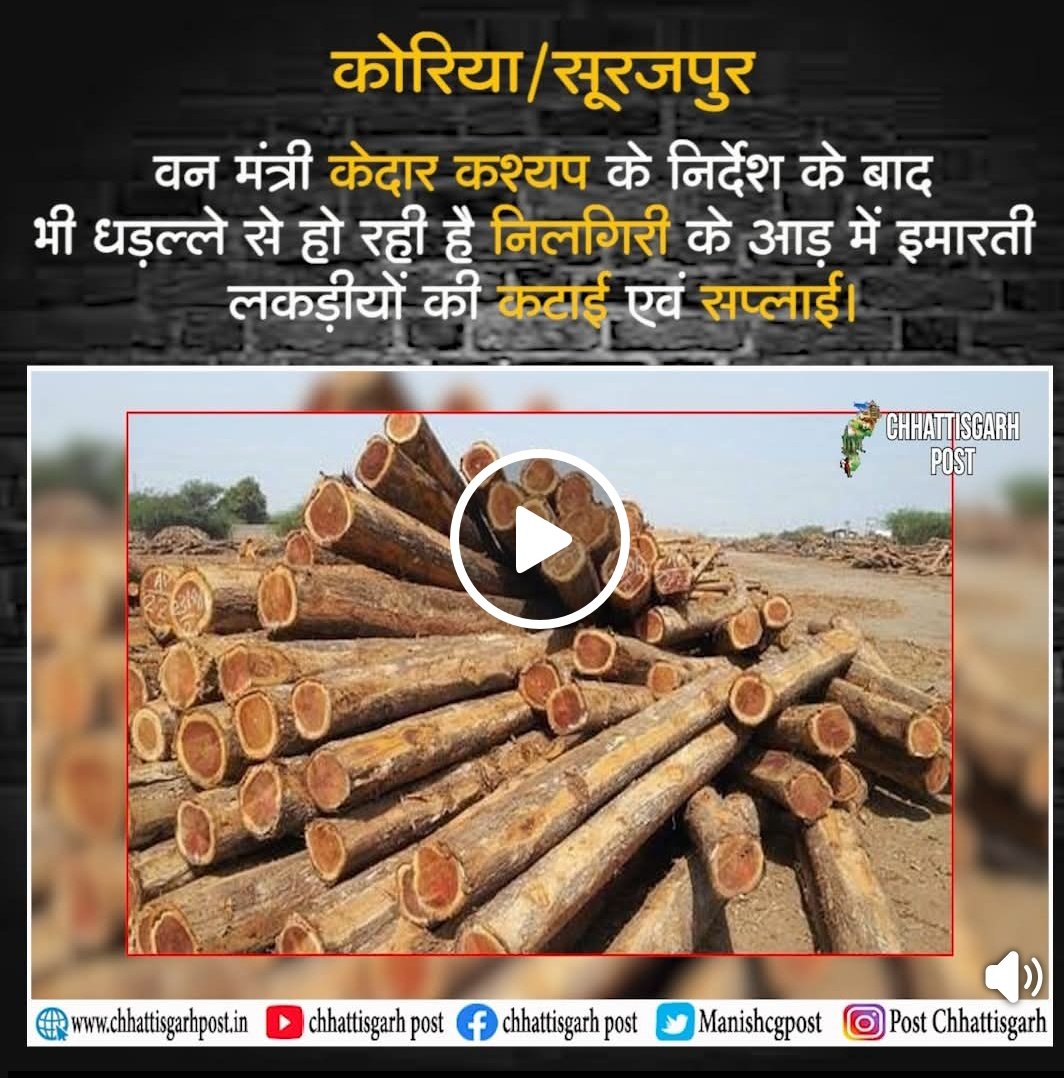 DSunilkiran's tweet photo. वन मंत्री अपने ही निर्देशों का पालन नहीं करा पा रहे हैं, धड़ल्ले से हो रही वनों की कटाई।
#chhattisgarh #kedarkashyap #forest #cgpost #surajpur #Korea #baikunthpur https://t.co/XKLo2r4zv9