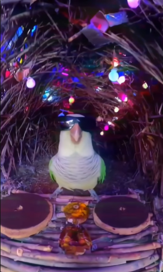 finalearc tweet media