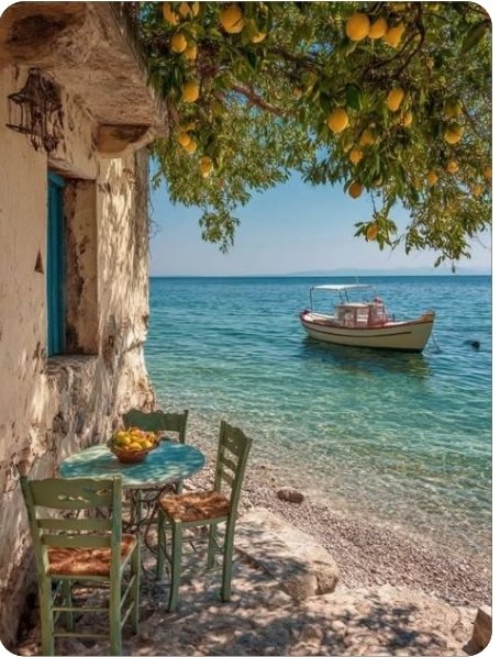 Günaydın sevgili ülkemin sevgili yurttaşları gününüz güzel geçsin iyilik iyidir 🌞🌿🌻🌴☕.