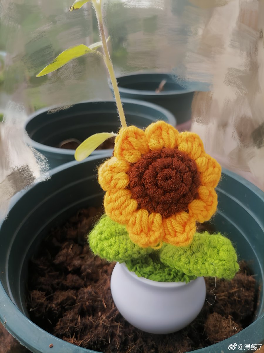 jim marsland tweet media