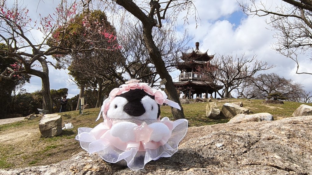 先日綾部山梅林に行ってきました🌸梅を見に行くときはいつもここ🐱
春がきた！と思ったらまためっちゃ寒くなりましたが…
写真に自分がうつるのが好きではないので突然のぬい活w
いつかみろくマスコット作ってぬい活してみたいな😸