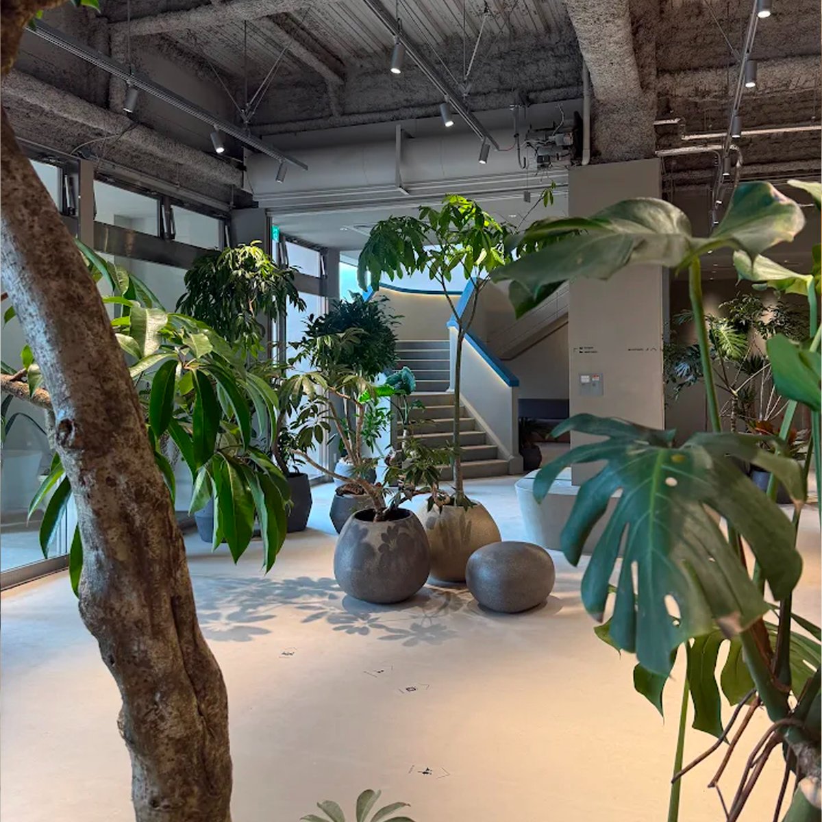 株式会社SEEKCLOUD / IT企業@長野県(シーククラウド) tweet media