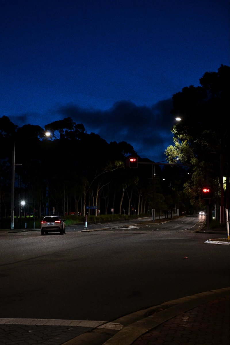 ueilAlien's tweet photo. A slow evening. https://t.co/OkXSsxx1Ir