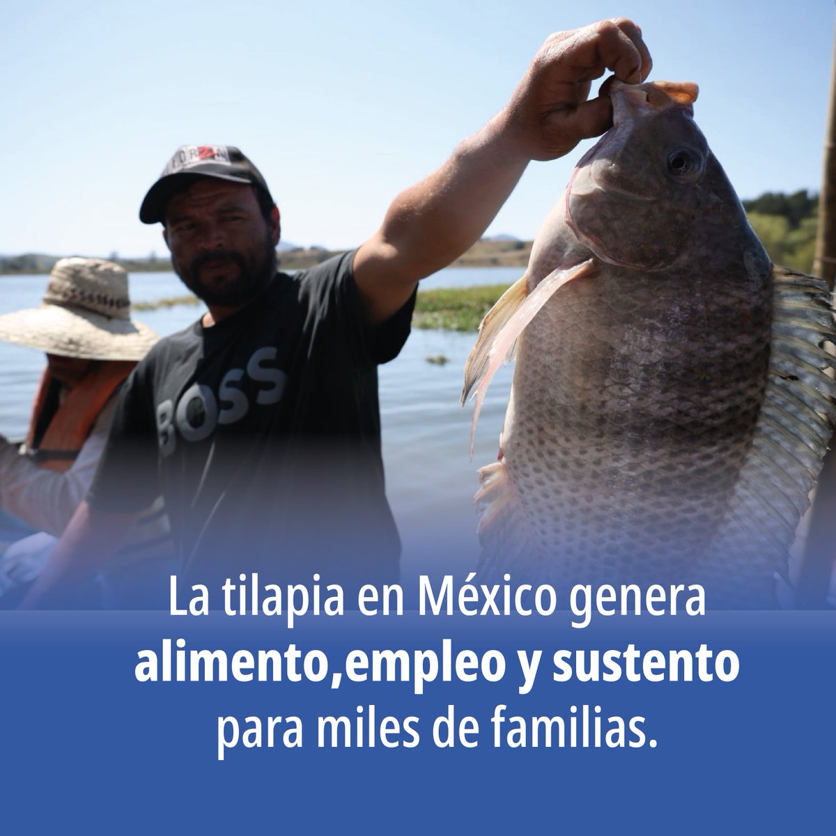 IMIPASmex's tweet photo. https://t.co/n5E9yZTfqr
