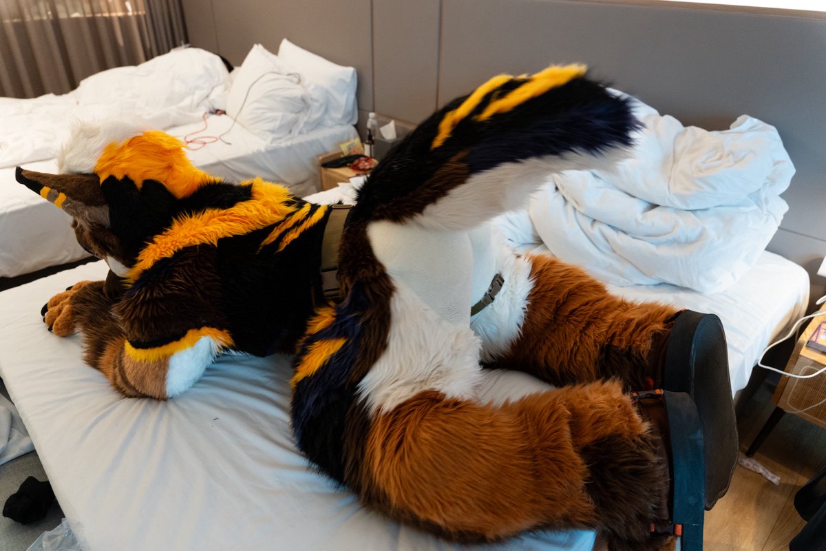 歐帕魯 (オパル/OPaLu) ➡️ UTFG / OFFF 2026 tweet media