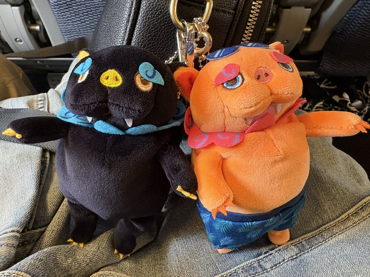 東京…素敵なファンミだったようで羨ましいなぁ✨
見たかったです💕
明後日の大阪ファンミにこの子達連れていきまーす🙋‍♀️
見つけたら声を掛けてね💕︎