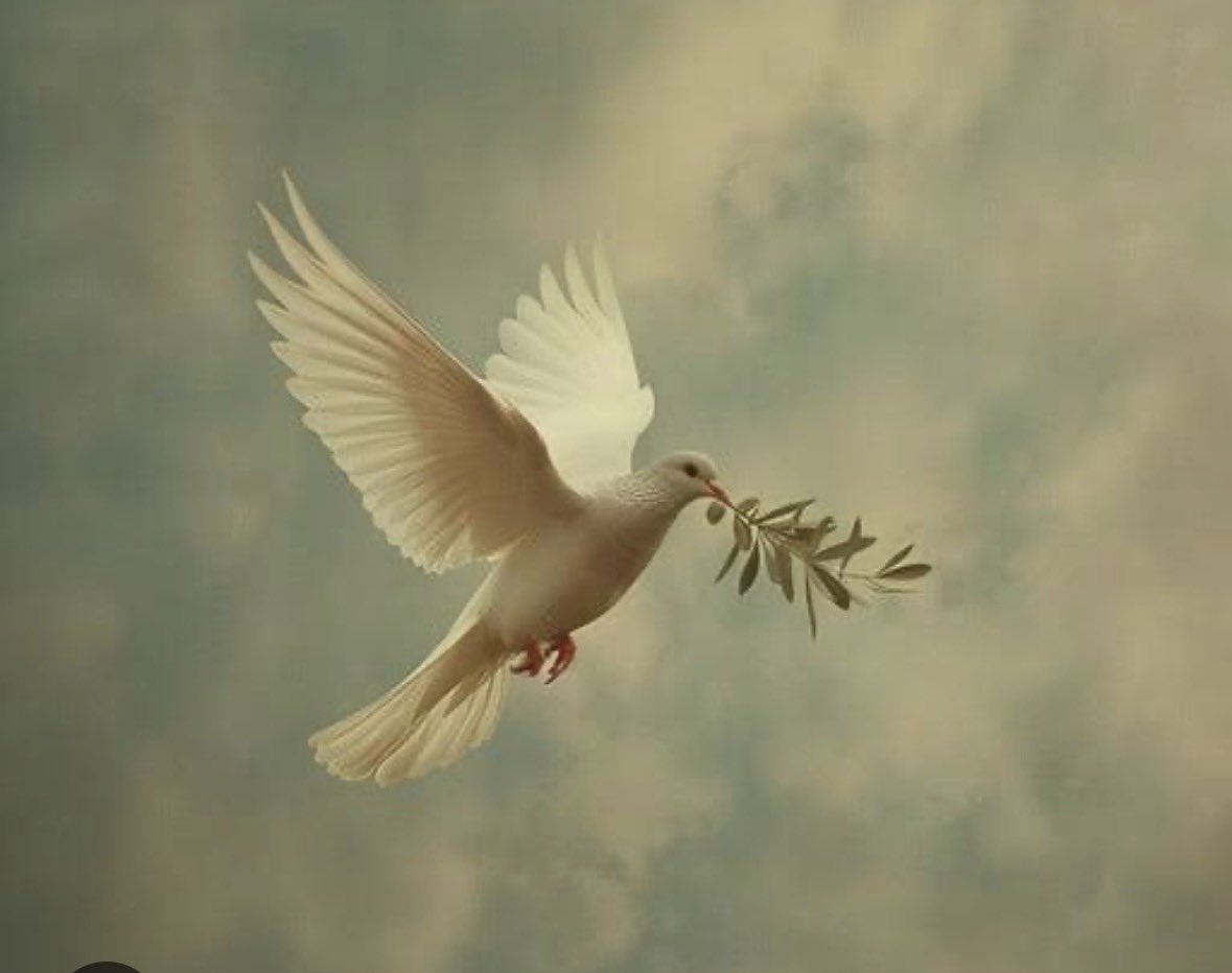 hoihnu hauzel - www.thenestories.com tweet media