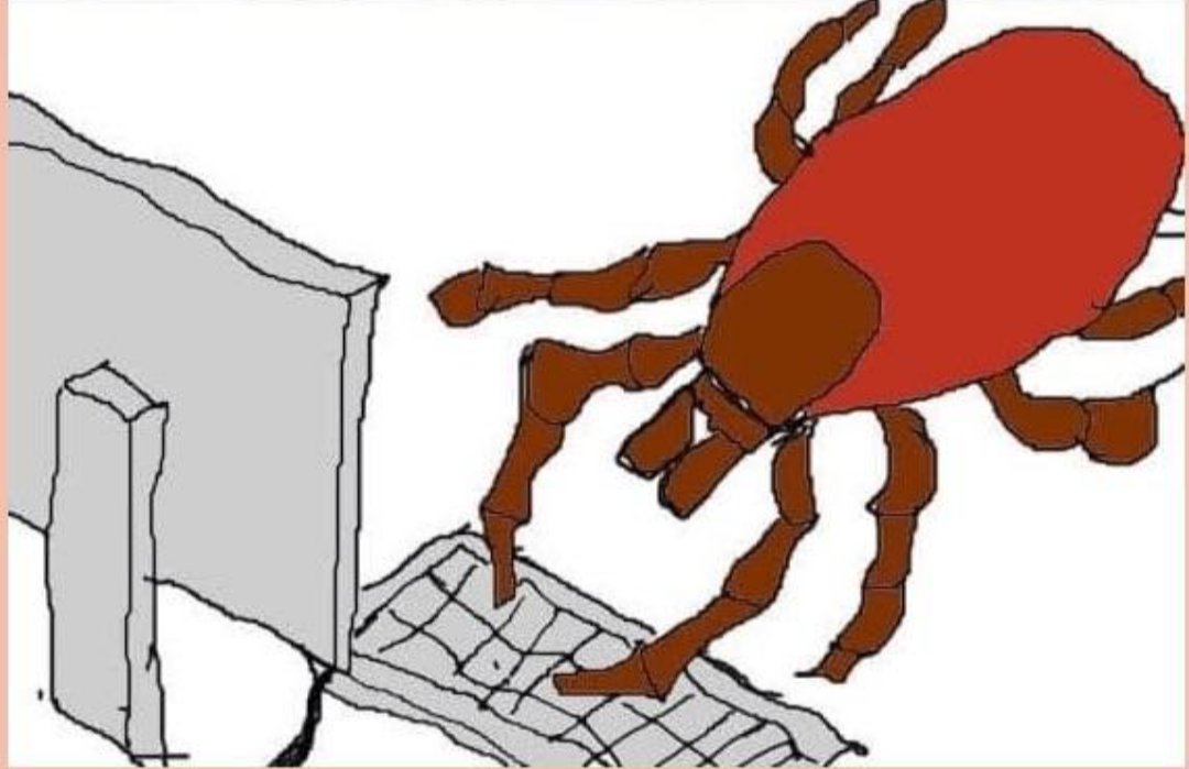 Cosimo Morelli tweet media