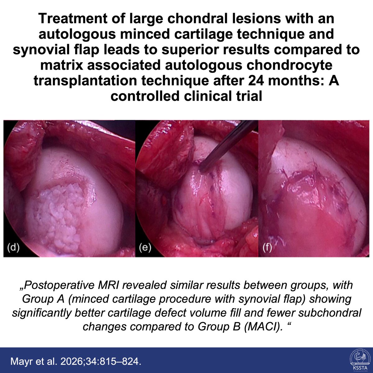 Knee Surgery, Sports Traumatology, Arthroscopy tweet media