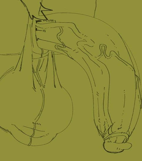 ๐๐๐๐. tweet media