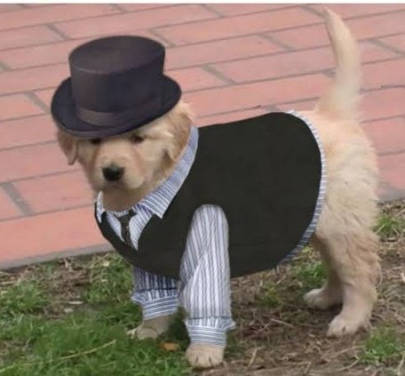 Sanjudas tweet media