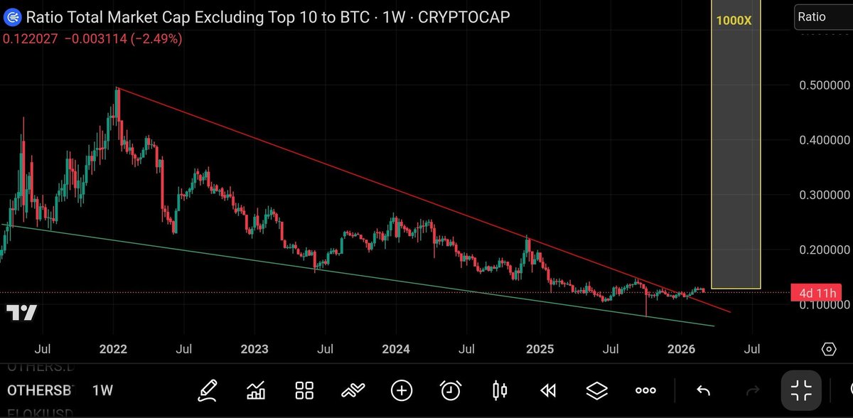 Shib Spain tweet media