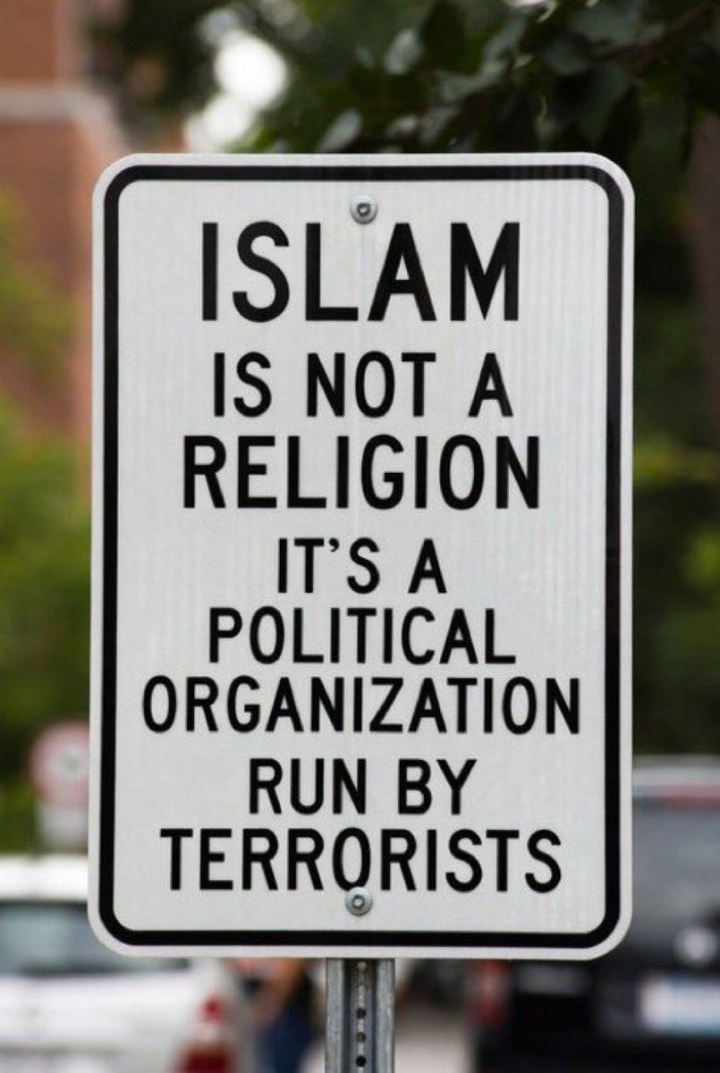 Ali 🇮🇷 tweet media