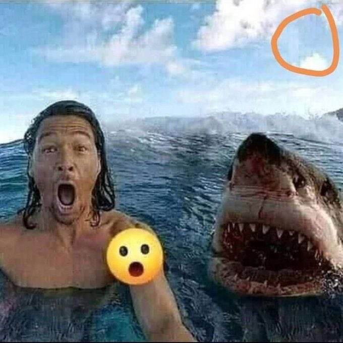 kibble🍉 (pfp by doe) tweet media