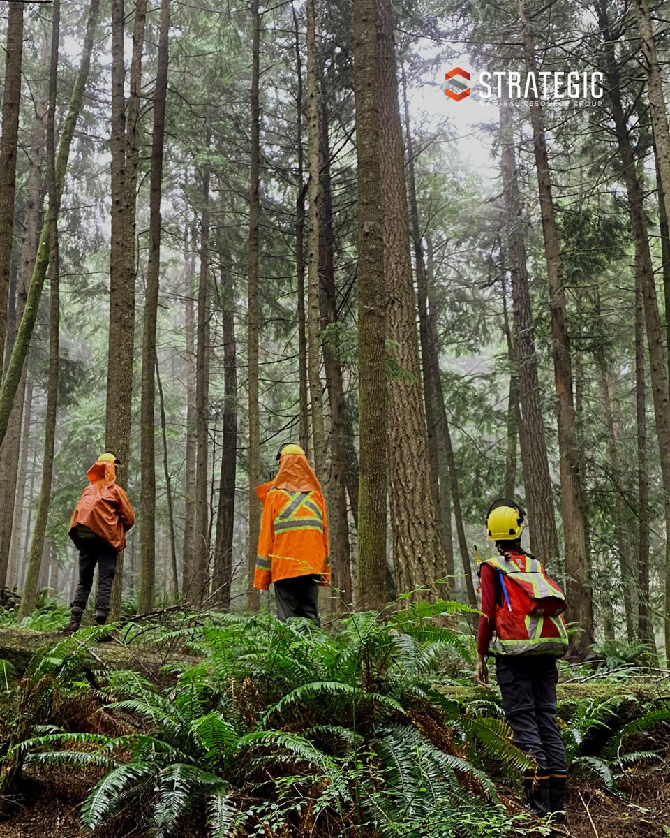 Strategic Natural Resource Group tweet media