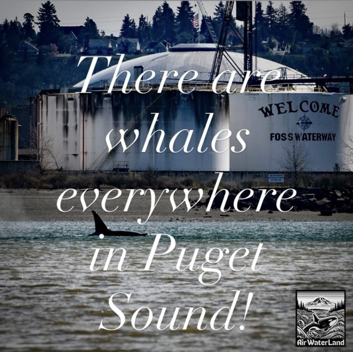airwaterlandcom's tweet photo. Remind your boater friends #BeWhaleWise https://t.co/l3MgjmanDr