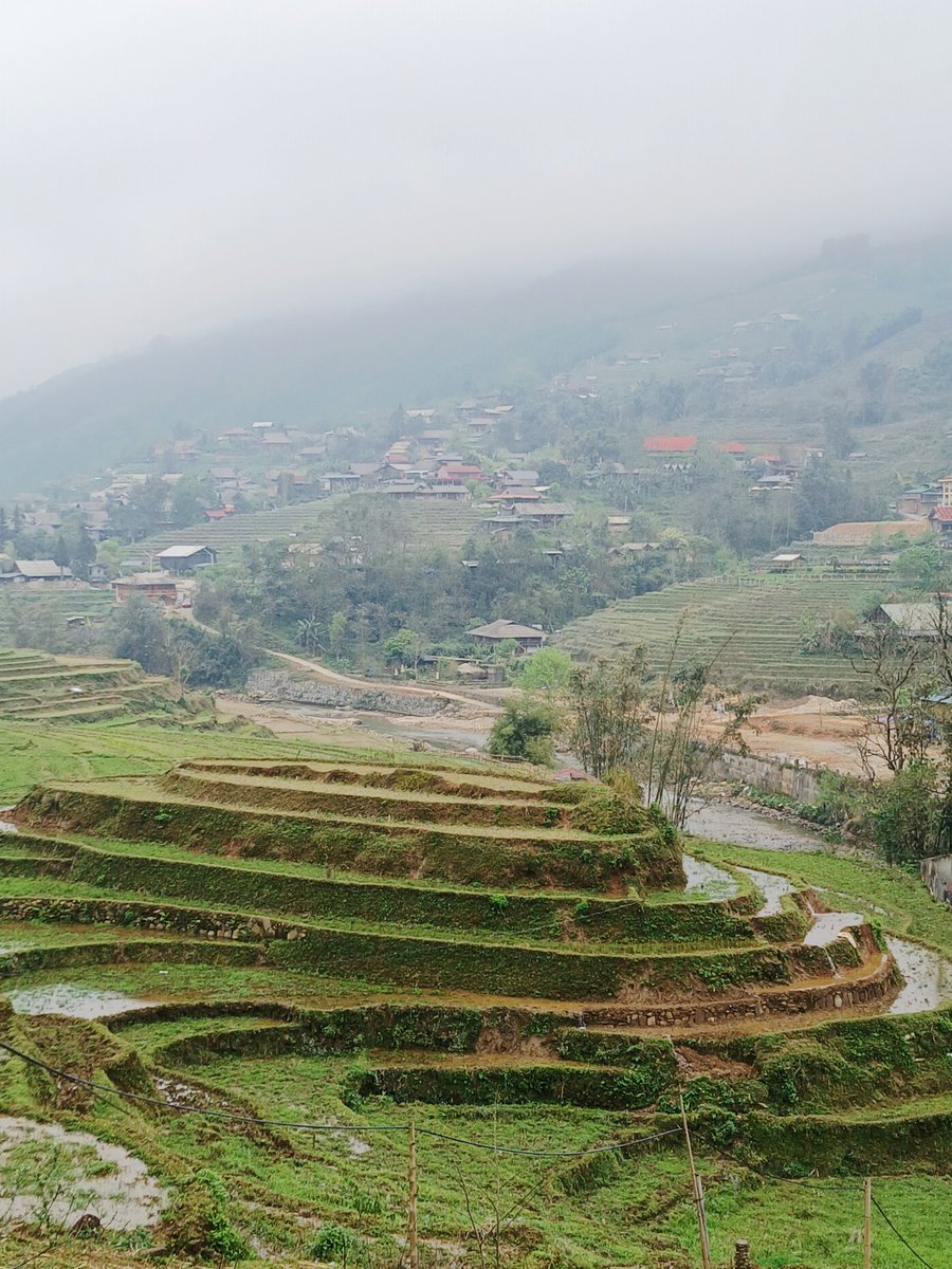 V(B)iajero Insatisfecho tweet media