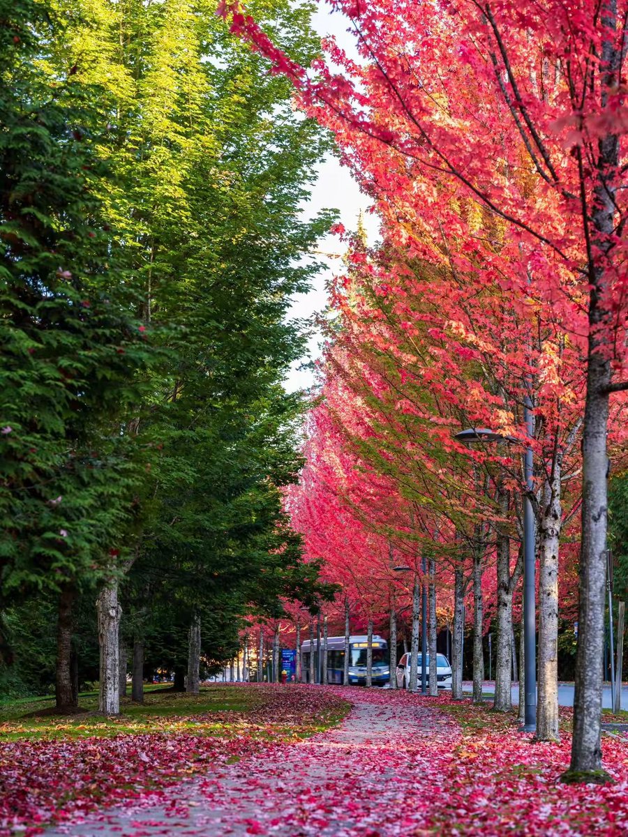 Nico Jimeno tweet media