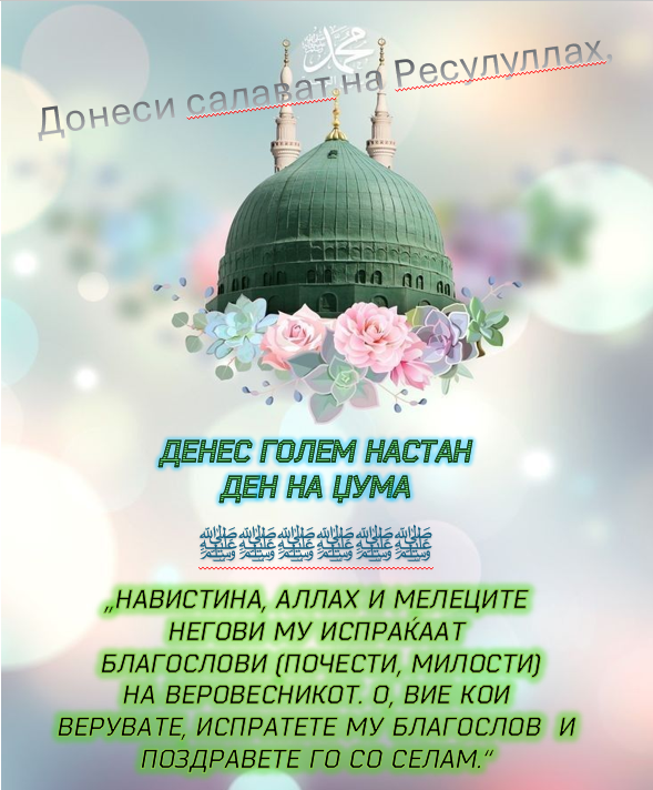 tucaroski's tweet photo. https://t.co/p0caB2un6m