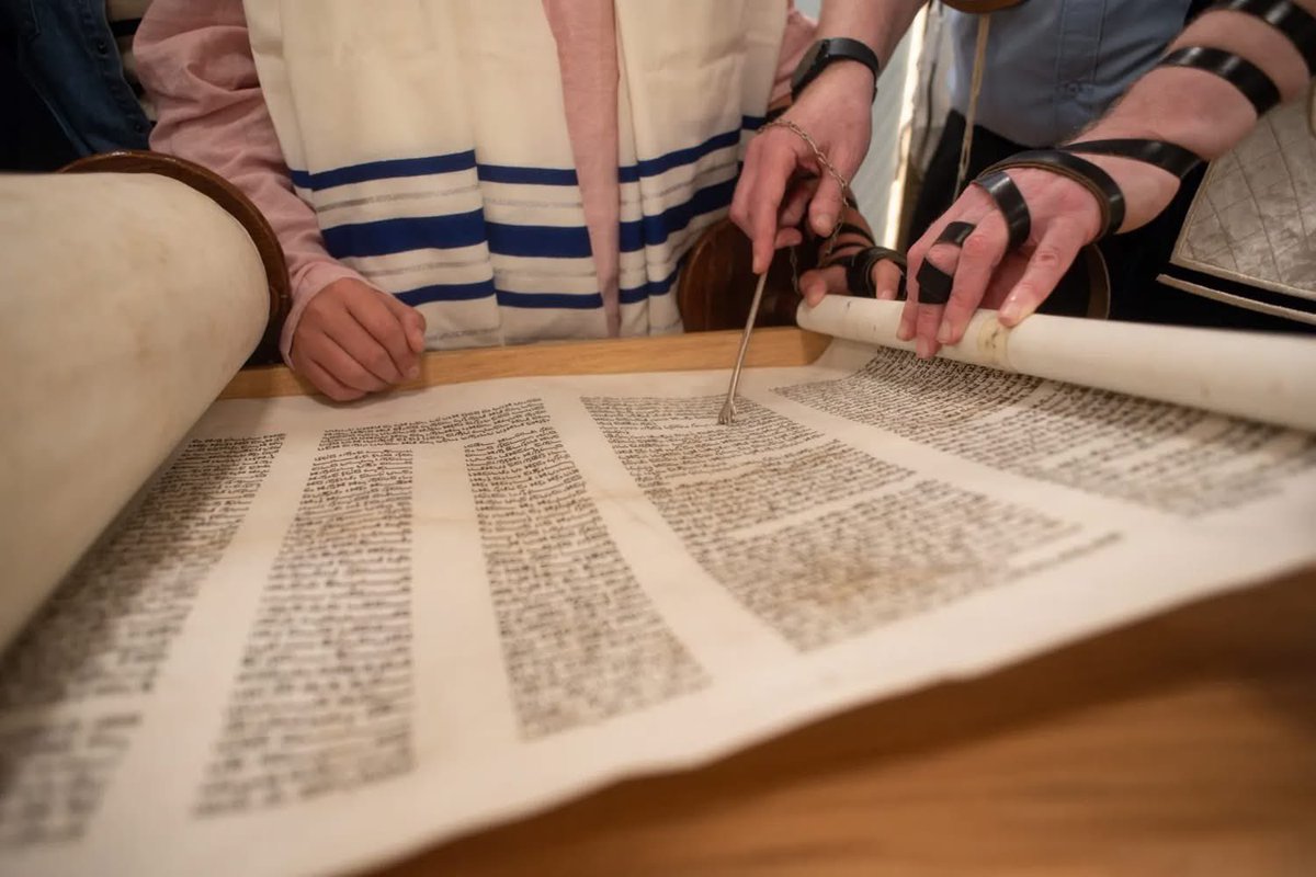 Tami 🇮🇱 tweet media