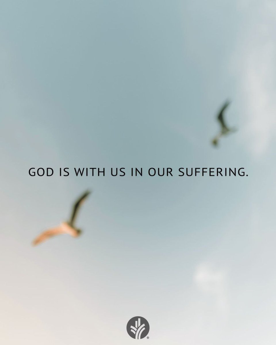 Sam ሳም ⚖️❤️💛💚 ⚖️ tweet media