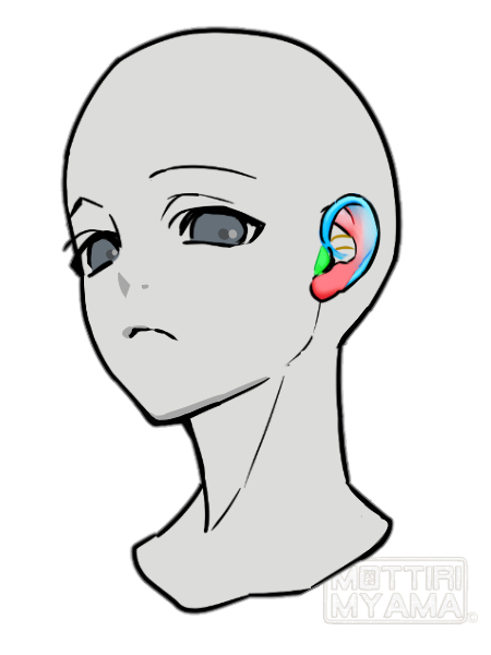 みゃま🐱MOTTIRI MYAMA tweet media