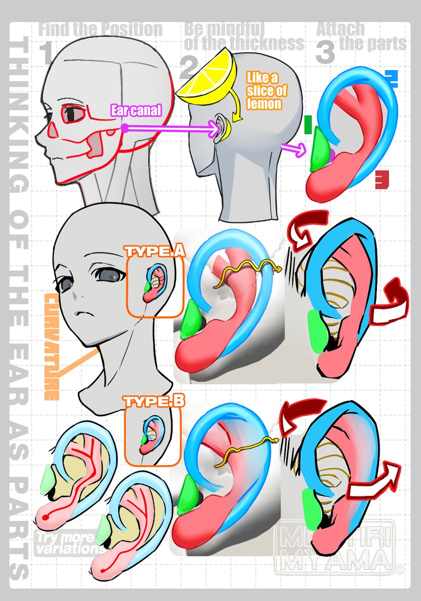 みゃま🐱MOTTIRI MYAMA tweet media