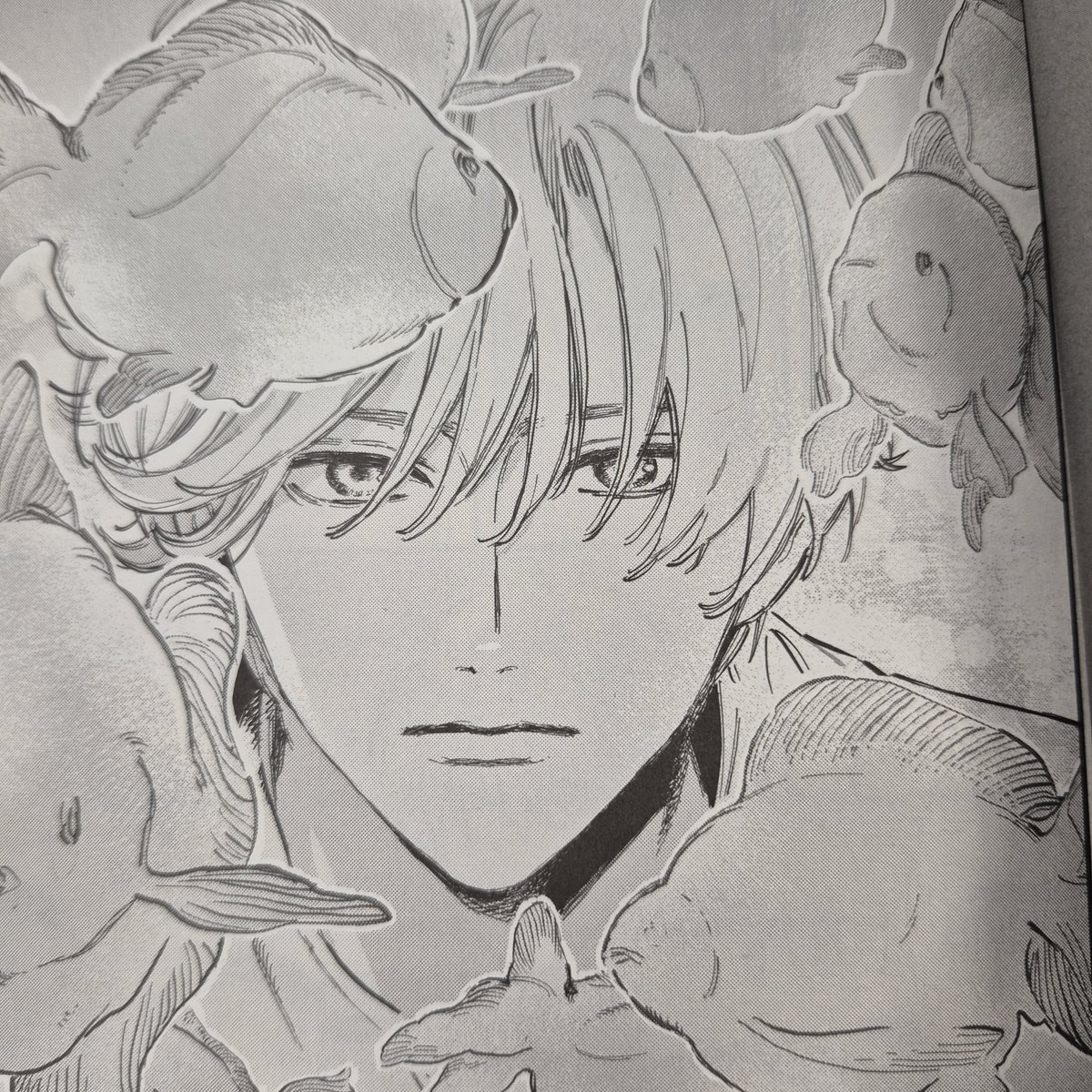 디앤씨미디어 코믹스 tweet media