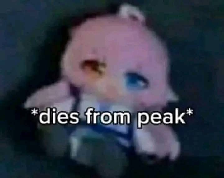 𝅙RedLR ✝️ tweet media