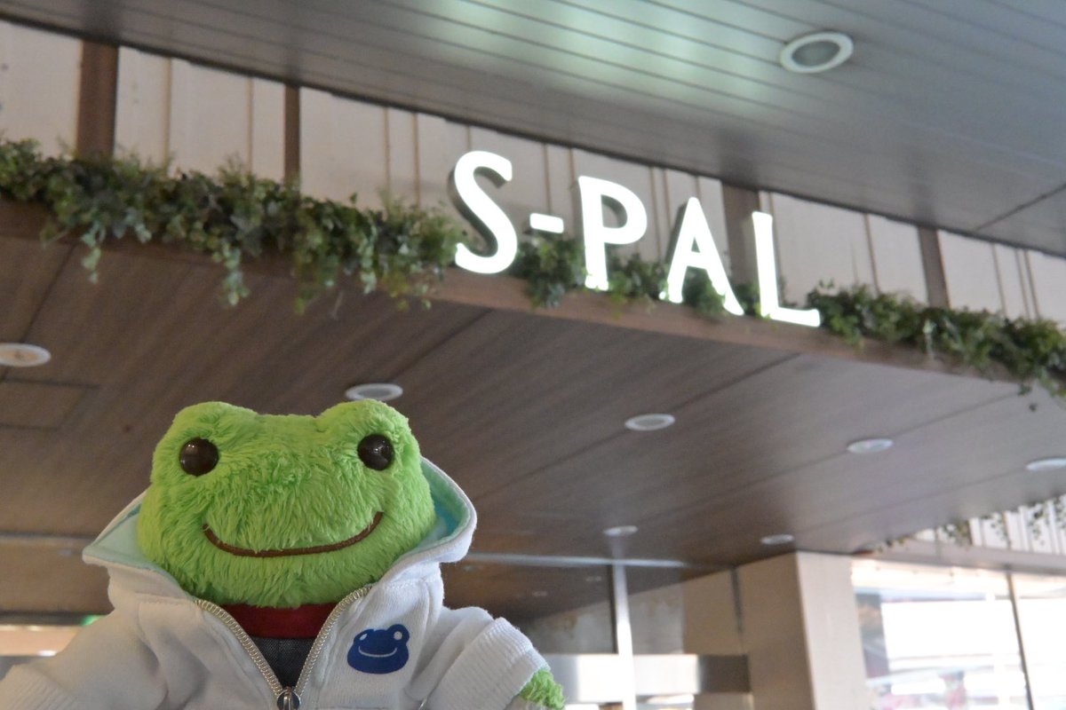 りらぴく tweet media