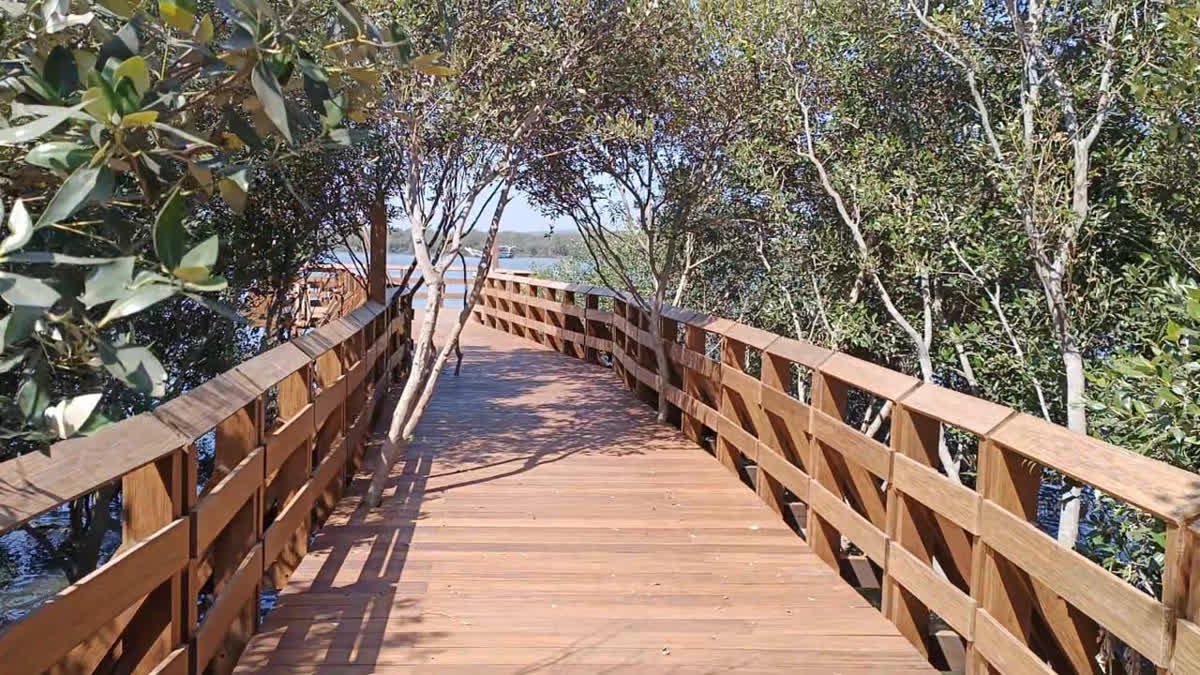 Haldilal tweet media