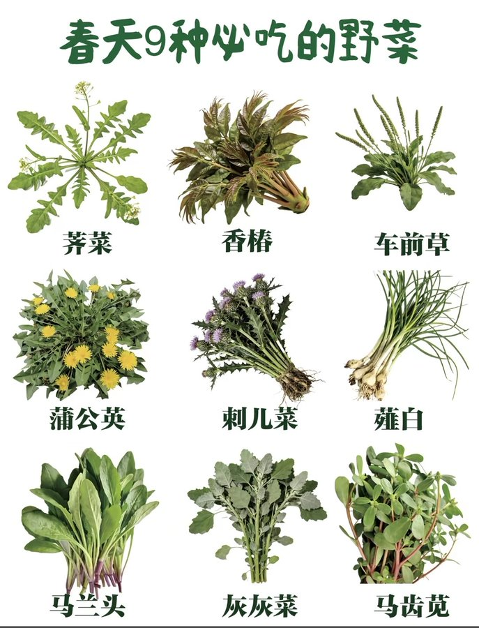 CHINSKI BIZNES CHINY tweet media