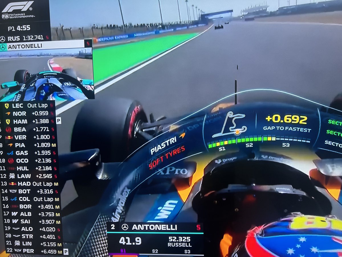 Oriental Darter tweet media