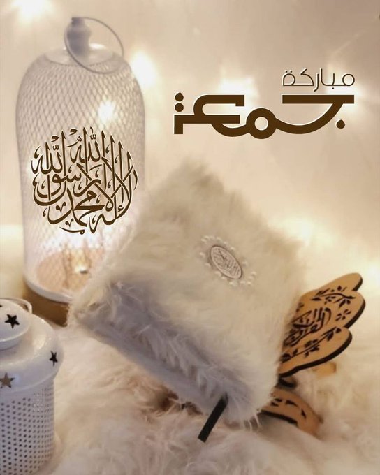 Muhammad Tahir Meo tweet media