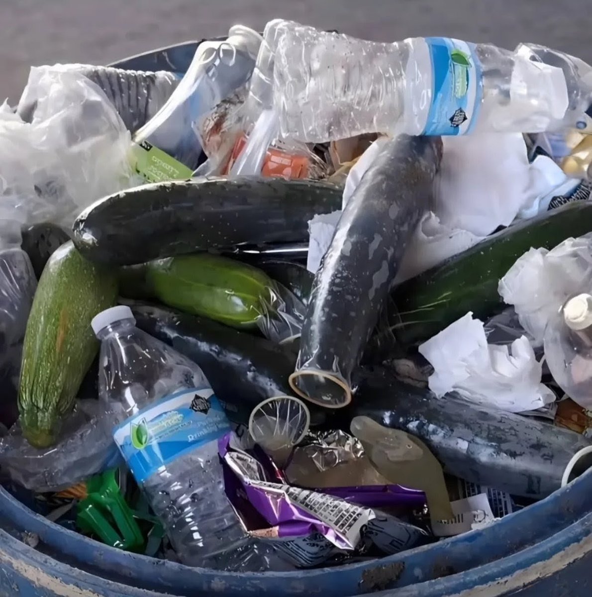 Arohi 🎀 tweet media