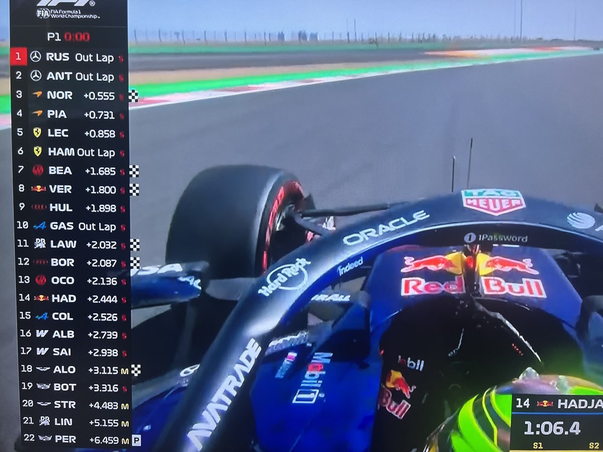 Oriental Darter tweet media