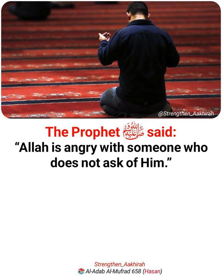 MaccidoFarouq's tweet photo. The Prophet (ﷺ) said: https://t.co/TUXWsFvNWX