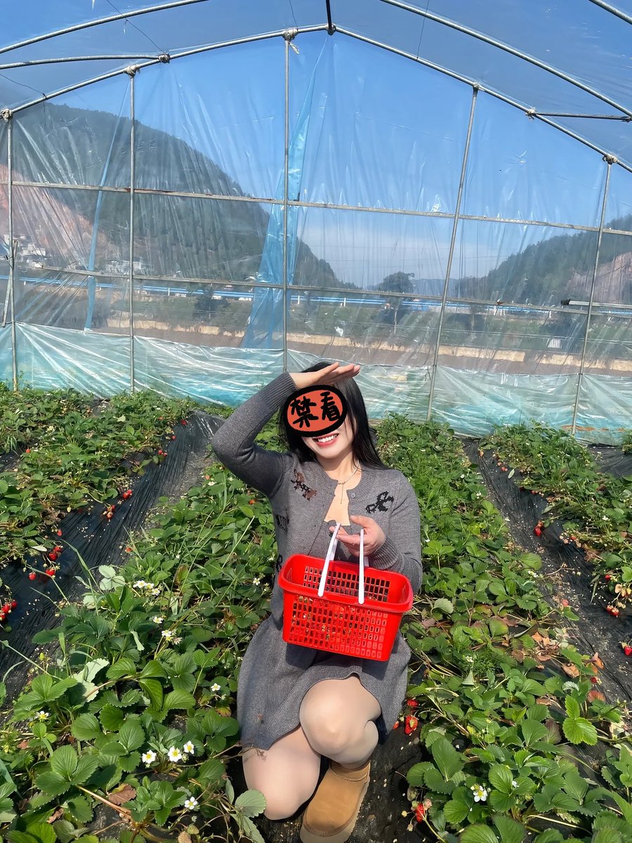 上海夫妻 tweet media