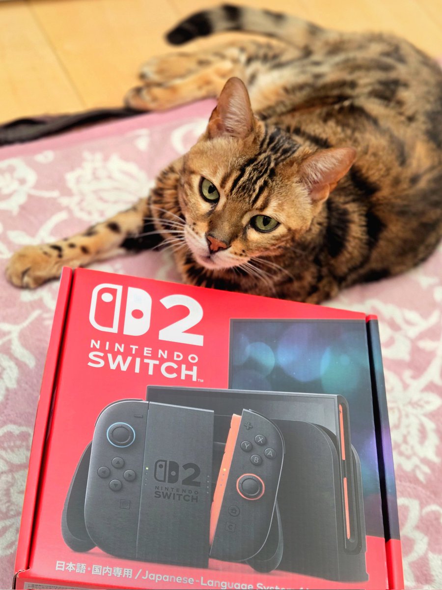 まおすけ tweet media