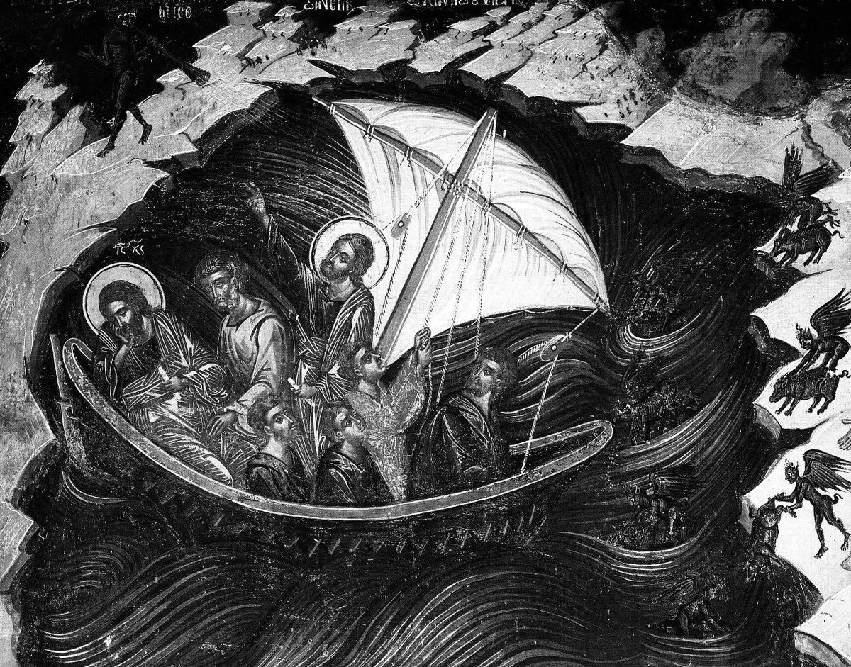 🐺 PHAYDROS 🦅 tweet media