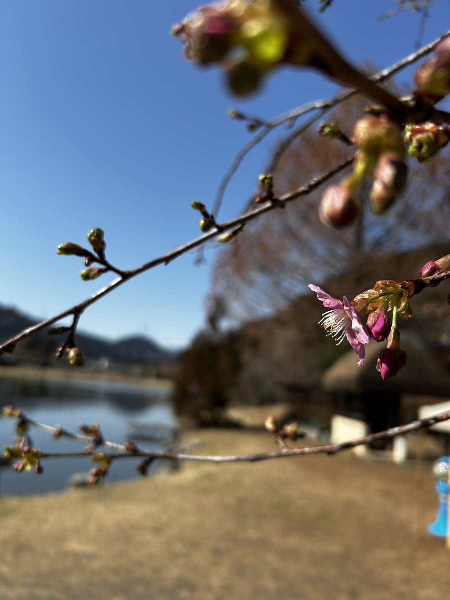 JET ( アイジェットリンク代表 ) tweet media