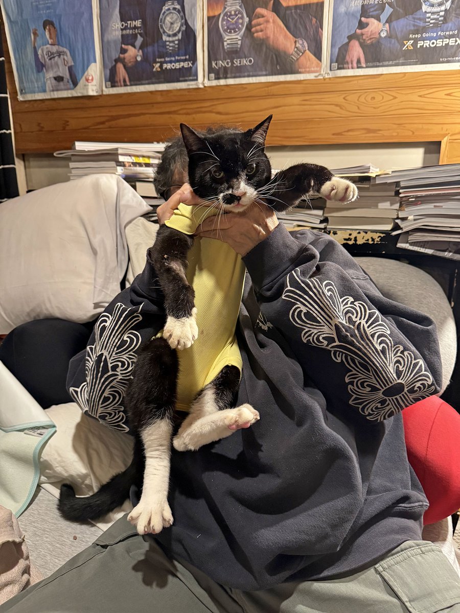 心の中も家の中にも大きい空洞がポッカリ穴を開けました。15年間毎晩枕をそろえて寝ていたおでんが今晩はいません。