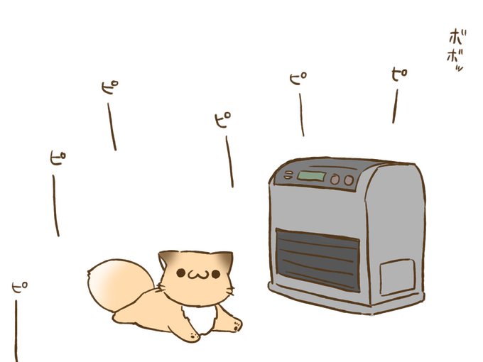 （2017ねん12がつ3にちの おもいでฅ•ω•ฅ）