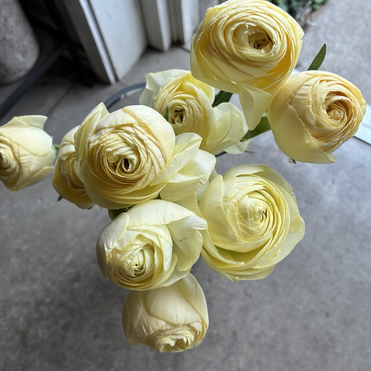 d`ici peu tweet media