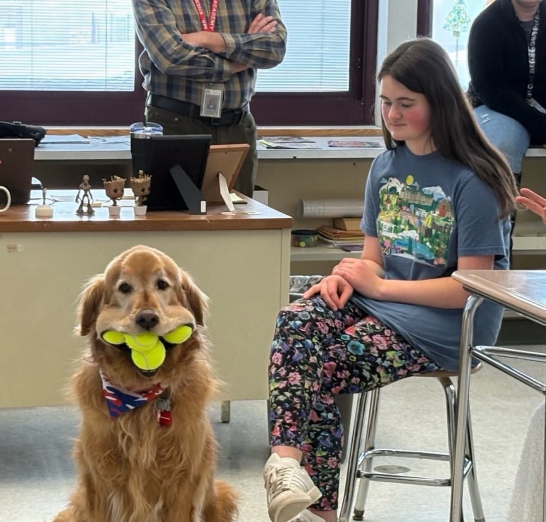 Puppies 🐶 tweet media