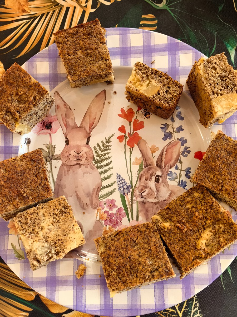 Judith Zoltán tweet media