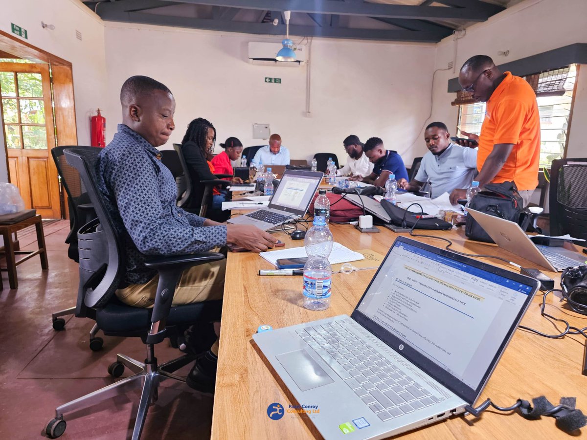 Pazel Conroy Consulting Ltd tweet media